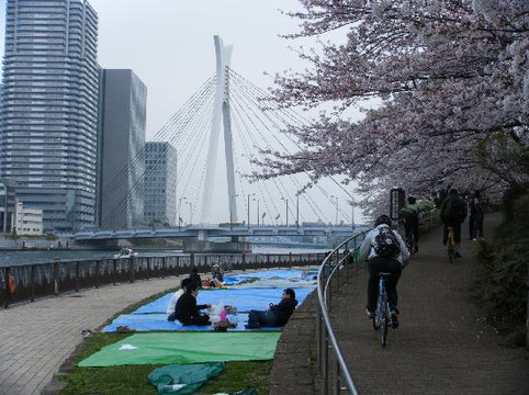 东京自行车大巡游-中央区必去景点