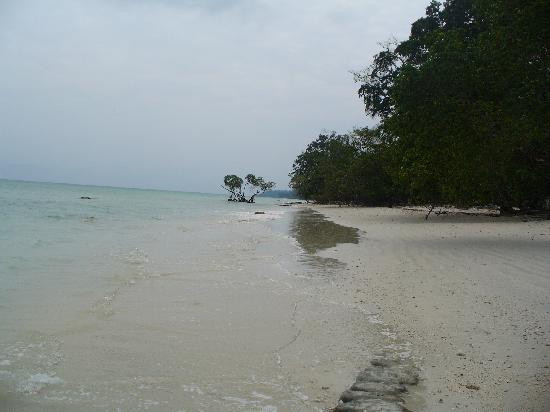 Kala Pathar Beach景点图片