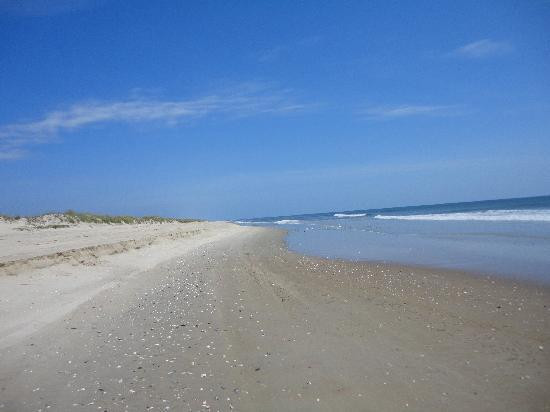 False Cape State Park-弗吉尼亚海滩必去景点