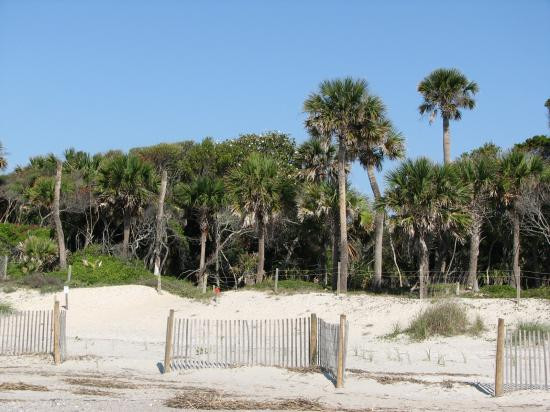 Edisto Beach State Park景点图片
