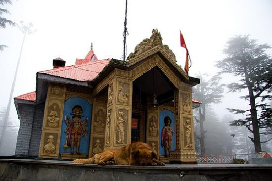 Jakhu Hanuman Temple景点图片