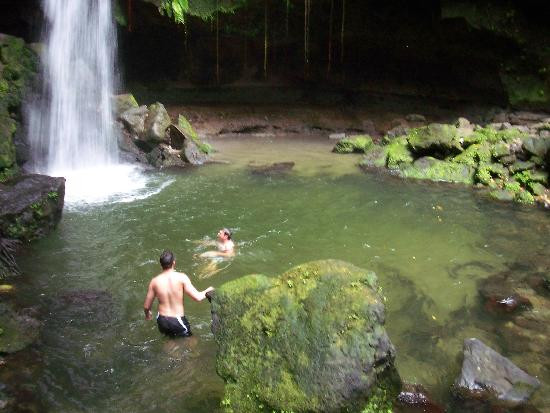 Emerald Pool-Morne Trois Pitons National Park必去景点
