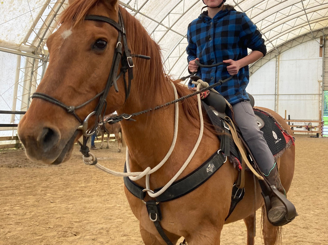 Letchworth Farm主图