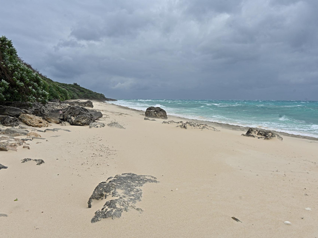 Nagamahama Beach Coast景点图片