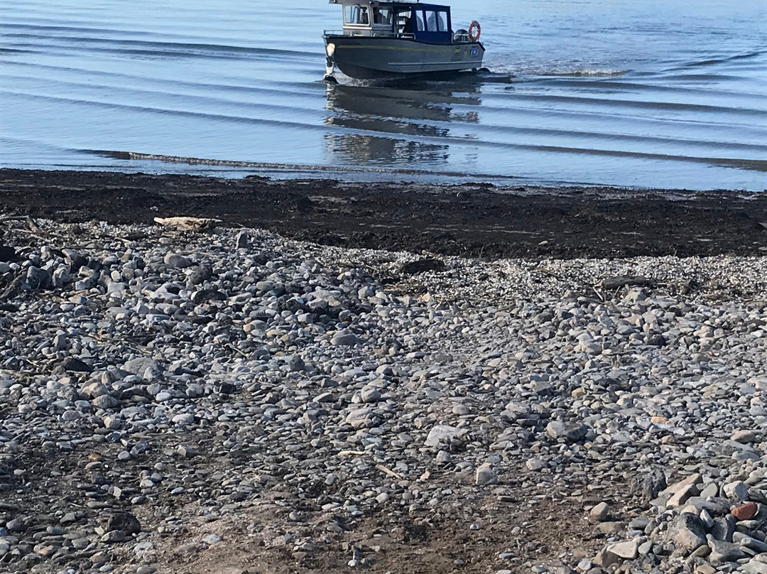 Carmarthen Bay Ferries景点图片