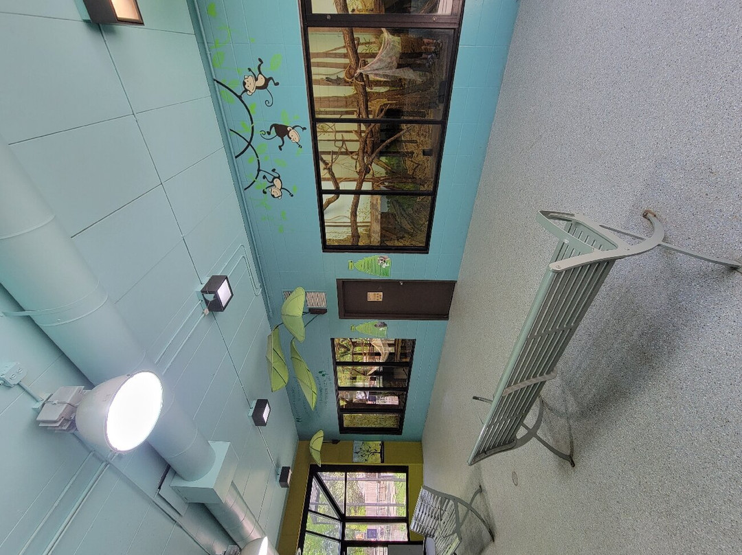 Great Plains Zoo-苏福尔斯必去景点