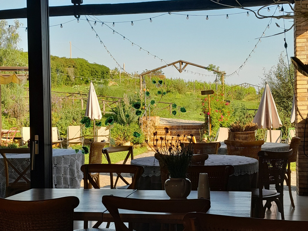 Country House Erba Regina主图