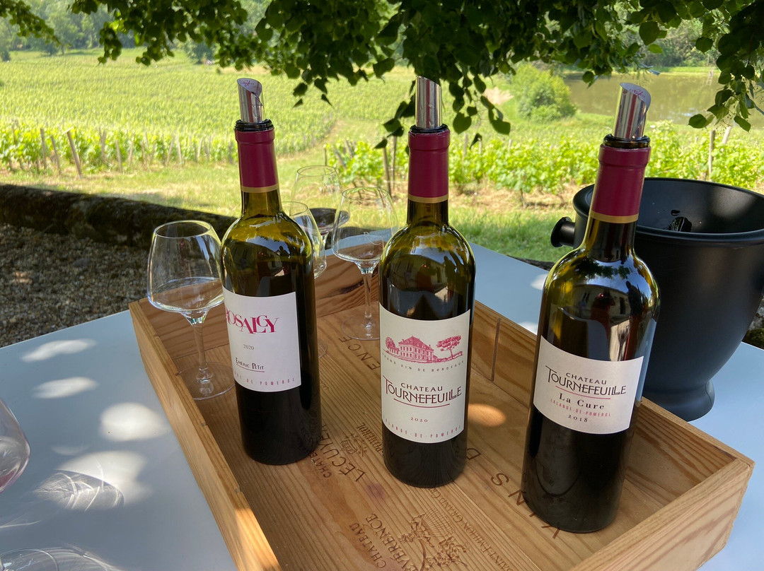 Chateau Tournefeuille主图