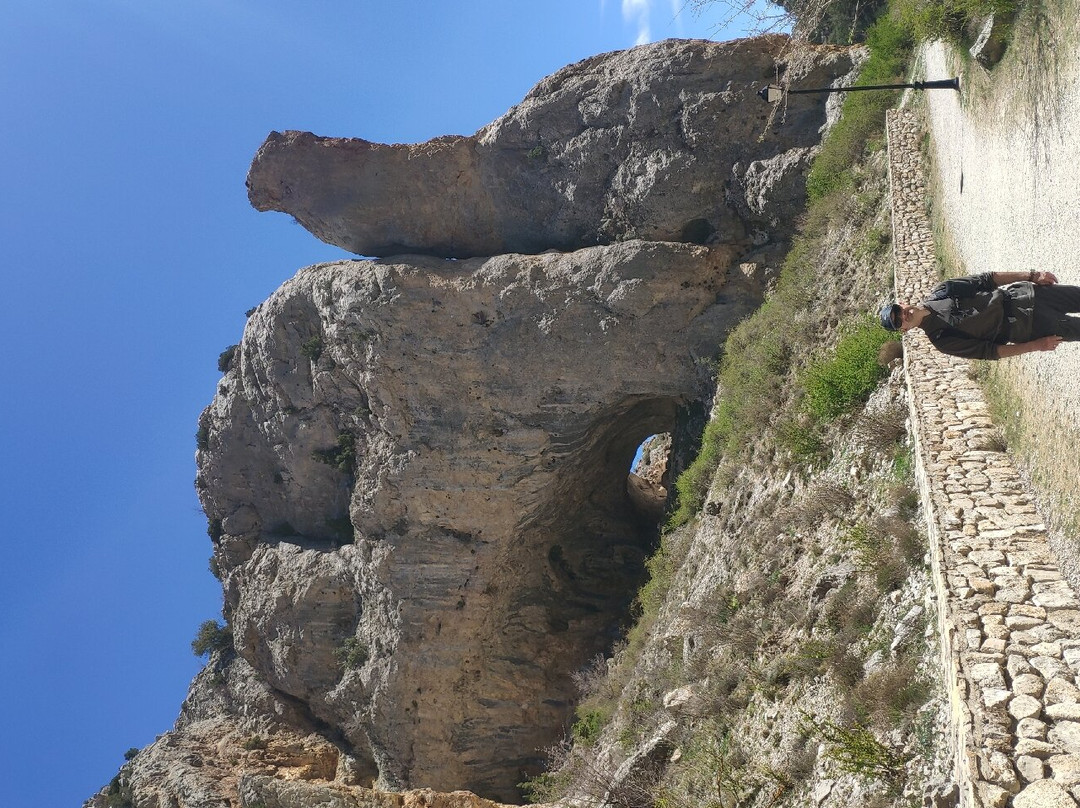 Meson Del Gallo主图