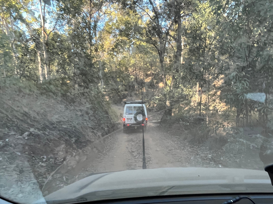 Central Queensland Nature Tours