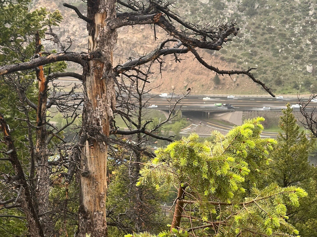 ATV Tours Colorado-Dumont必去景点
