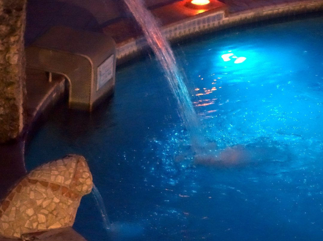 Park Hotel Terme Michelangelo主图