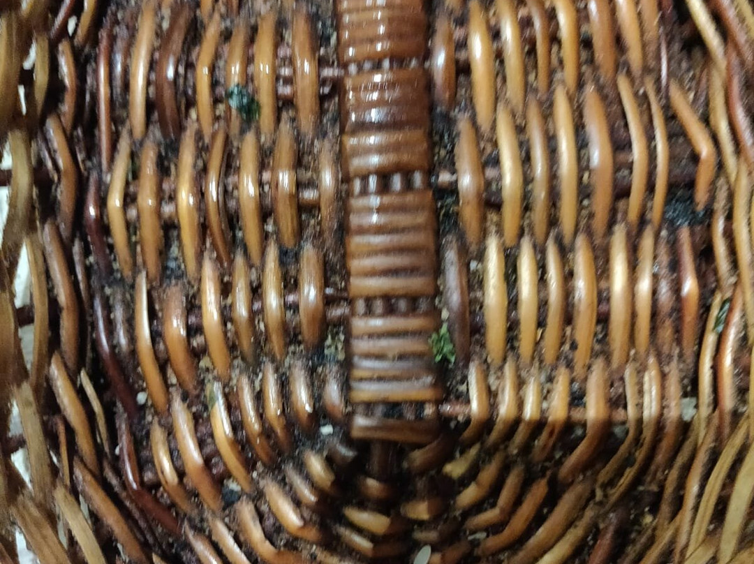 Rah Bagh By The Orchard主图