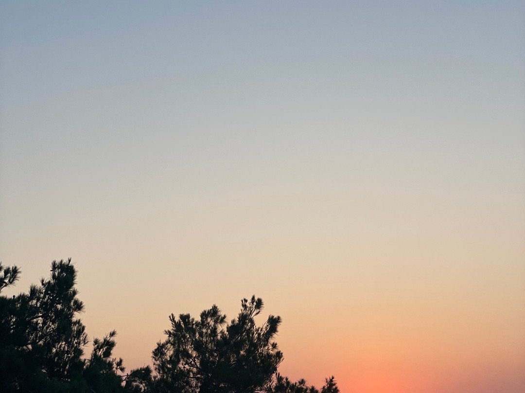 奥特弗布鲁卡普西斯埃利特度假酒店主图