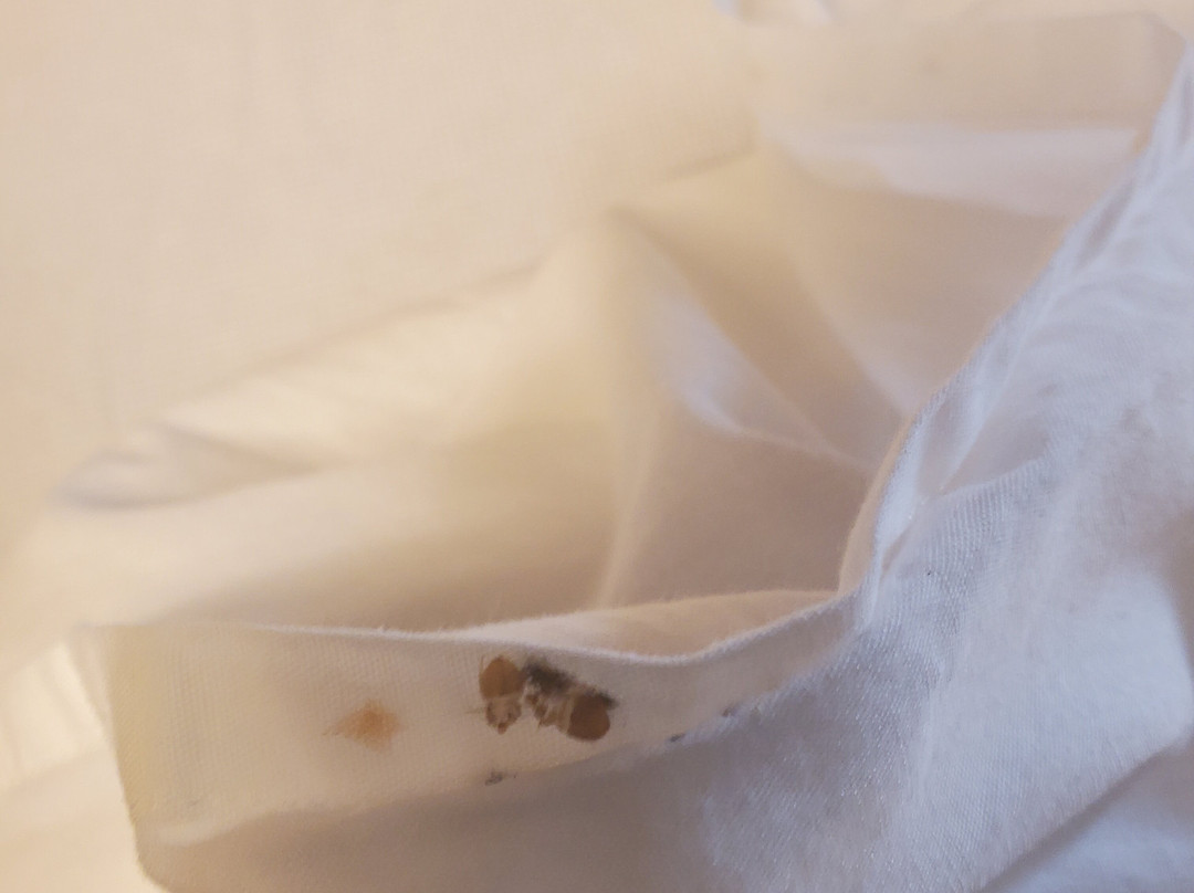 Fairfield by Marriott Inn & Suites Huntington主图