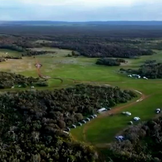 Mikkira Station Koala Sanctuary-Port Lincoln必去景点