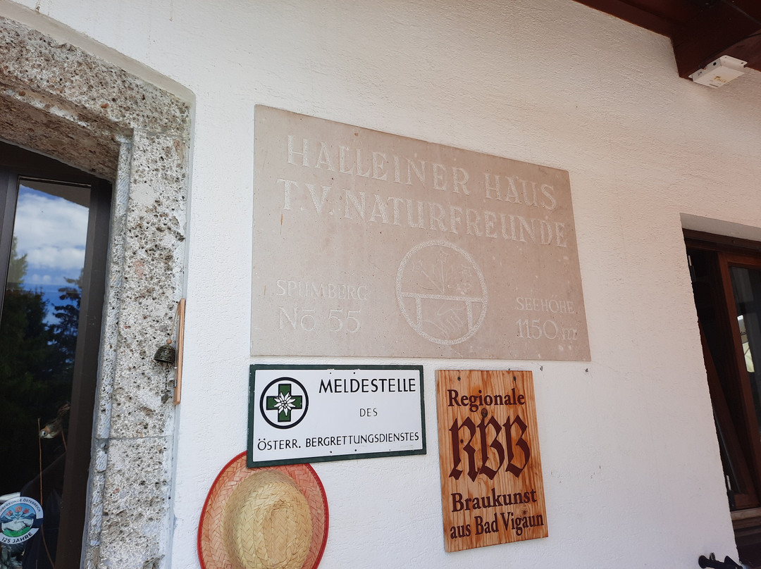 Halleiner Haus主图