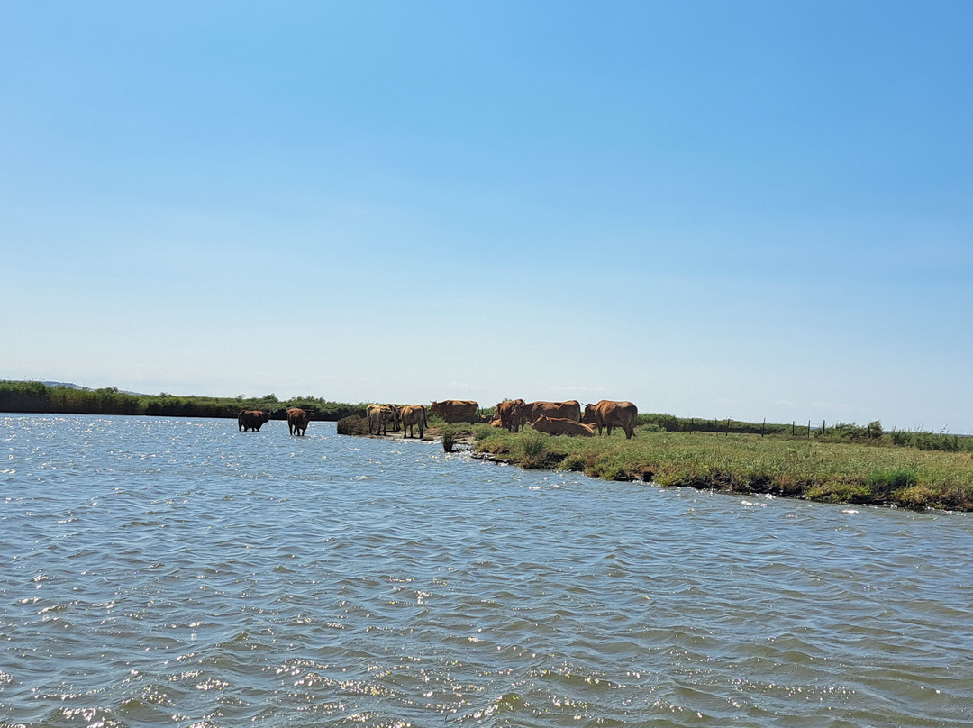Delta Evros Explorer景点图片