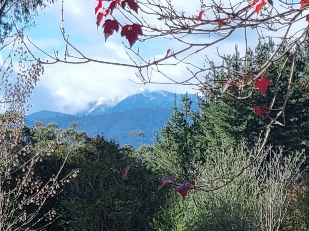 Bright Memorial Arboretum-布赖特必去景点
