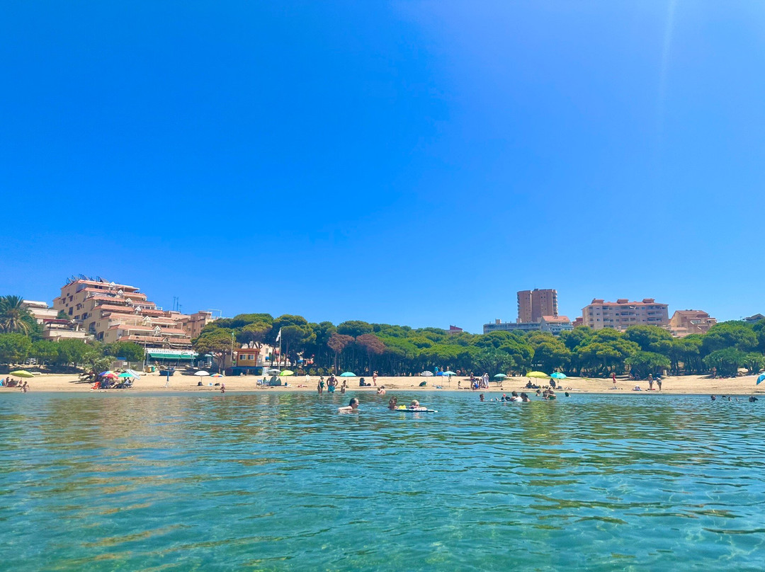 Cala Del Pino-圣哈维尔必去景点