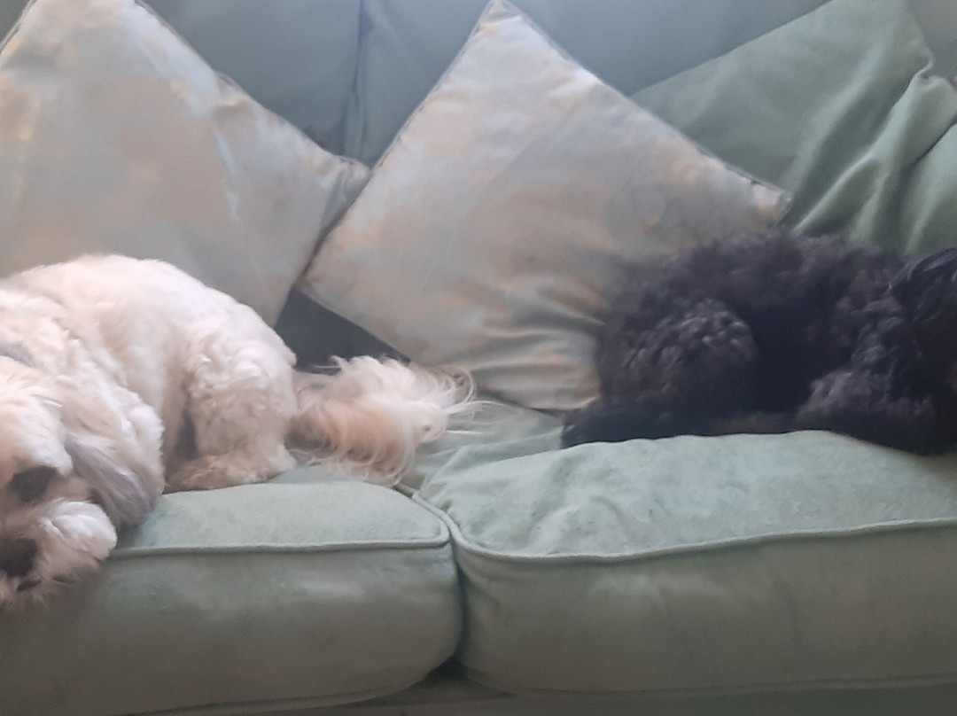 White House Farm主图