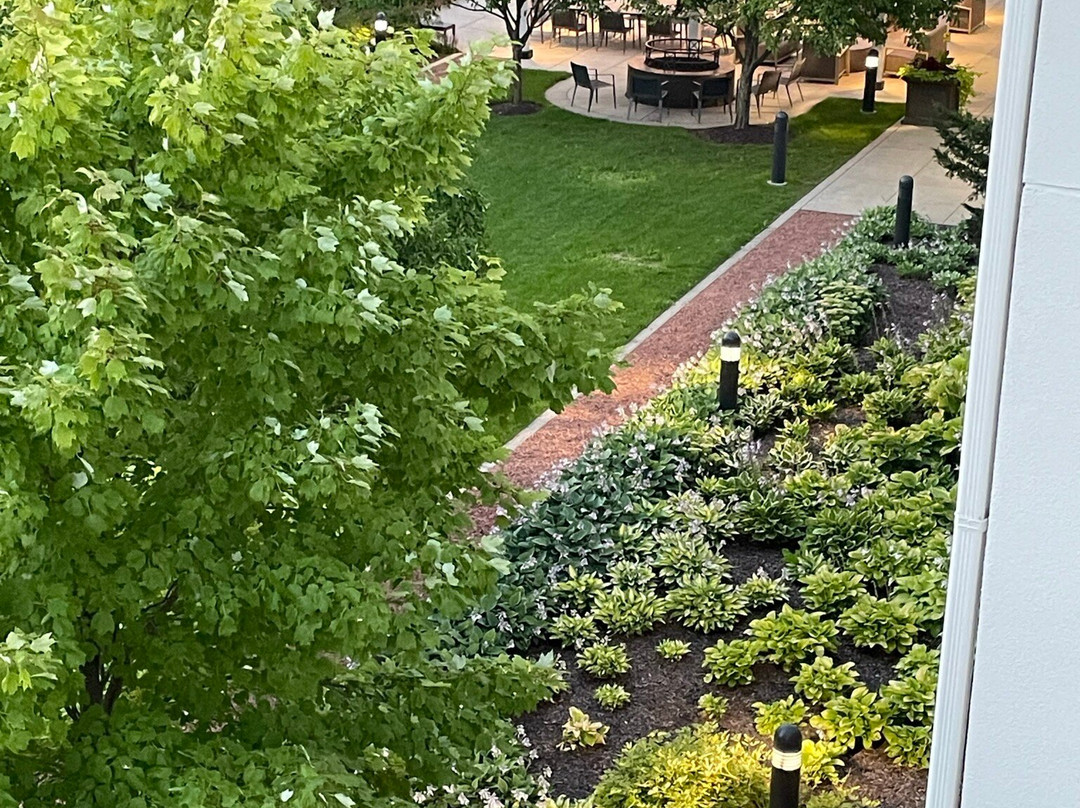 Courtyard by Marriott Madison West/Middleton主图