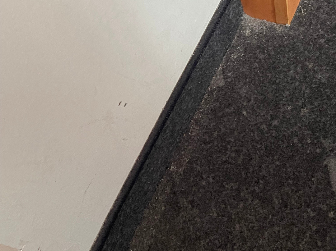 B&B Hotel Bielefeld City主图