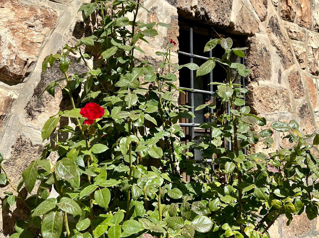 Show Me Lebanon-贝鲁特必去景点