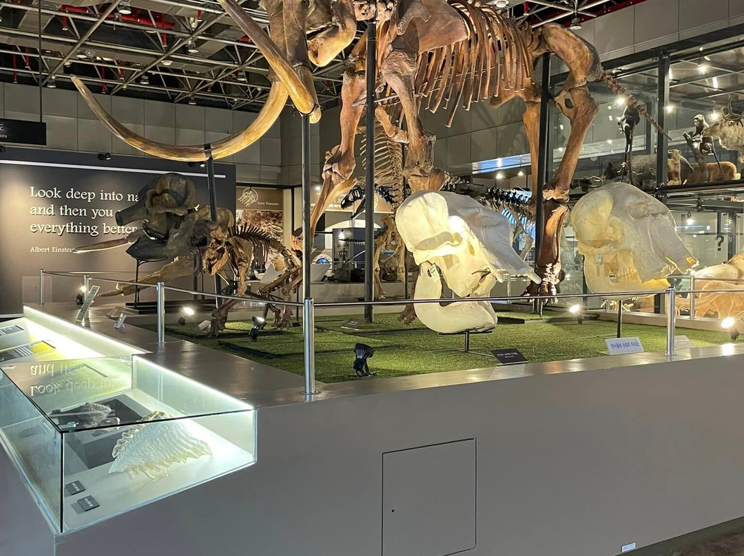 National Science Museum-大田必去景点