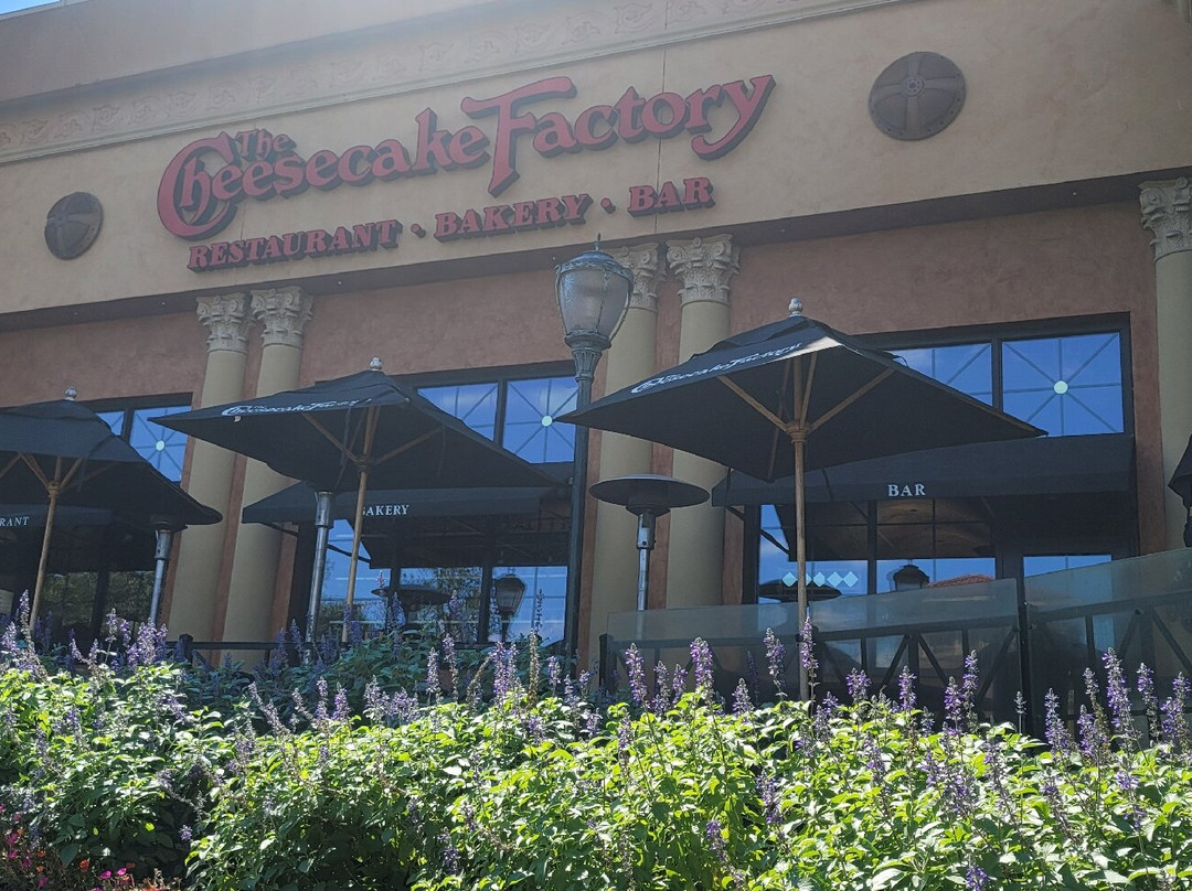 达拉斯/艾伦希尔顿花园旅馆主图