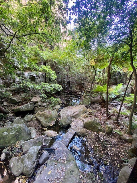 Central Queensland Nature Tours-罗尔斯顿必去景点