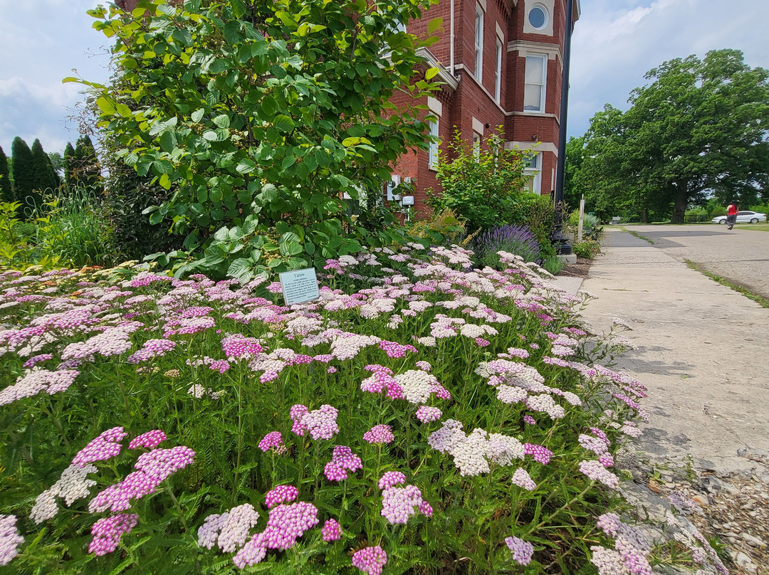 Indiana Medical History Museum-印第安纳波利斯必去景点
