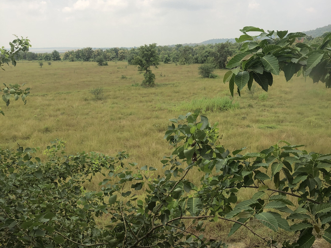 Tadoba Jungle Camp - Jungle Camps India主图