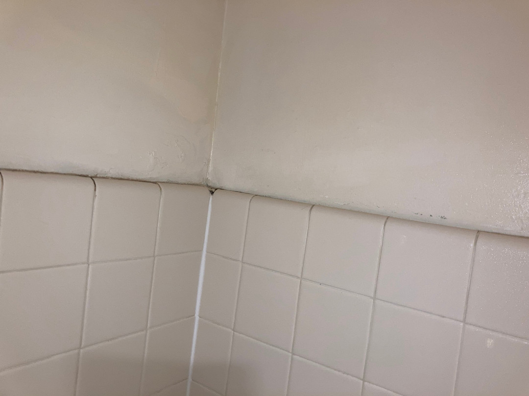 Best Western Salinas Valley Inn & Suites主图