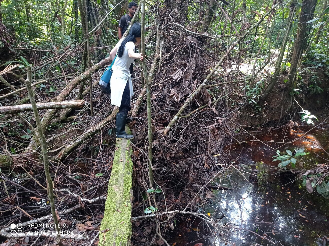Oxígeno Amazonas景点图片