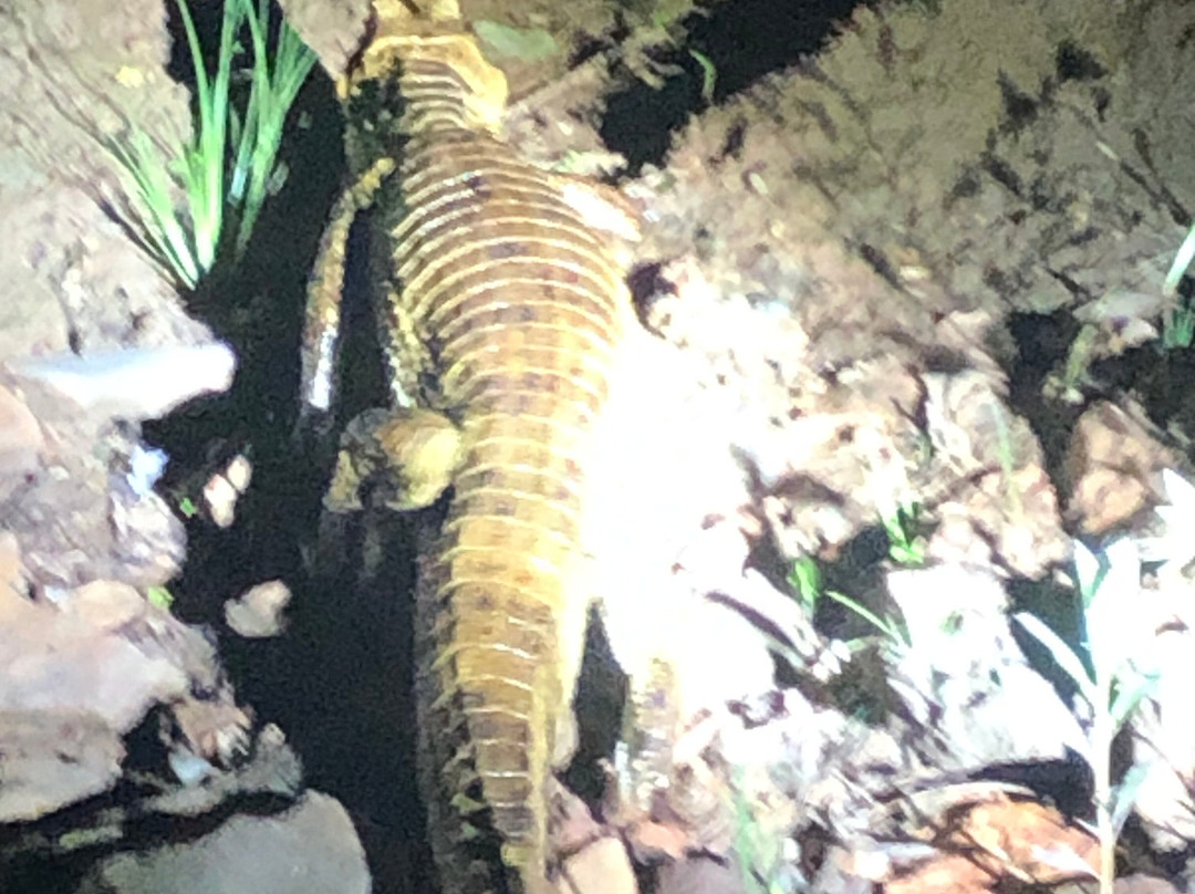 Escápate Slow Tourism-库斯科必去景点