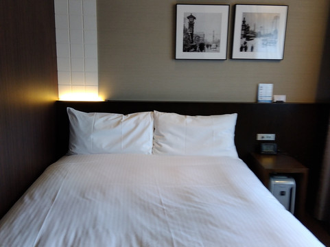 格拉斯丽银座酒店主图