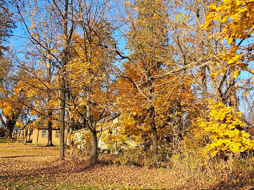 Millstad Center-Joppa必去景点