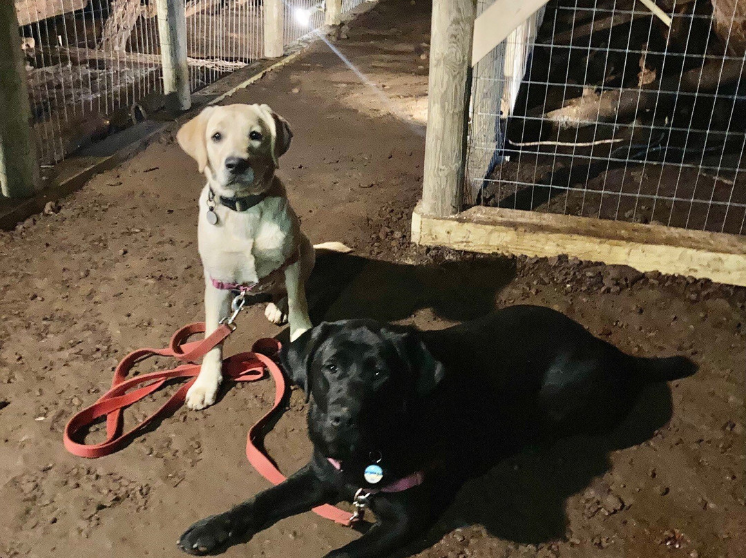 Delaware Copper MineTours-Mohawk必去景点