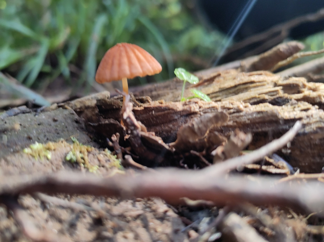 Isecheno Blue Shouldered Guest House主图