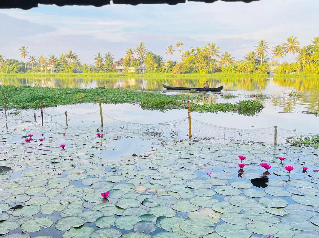 绿色广场克拉度假村主图