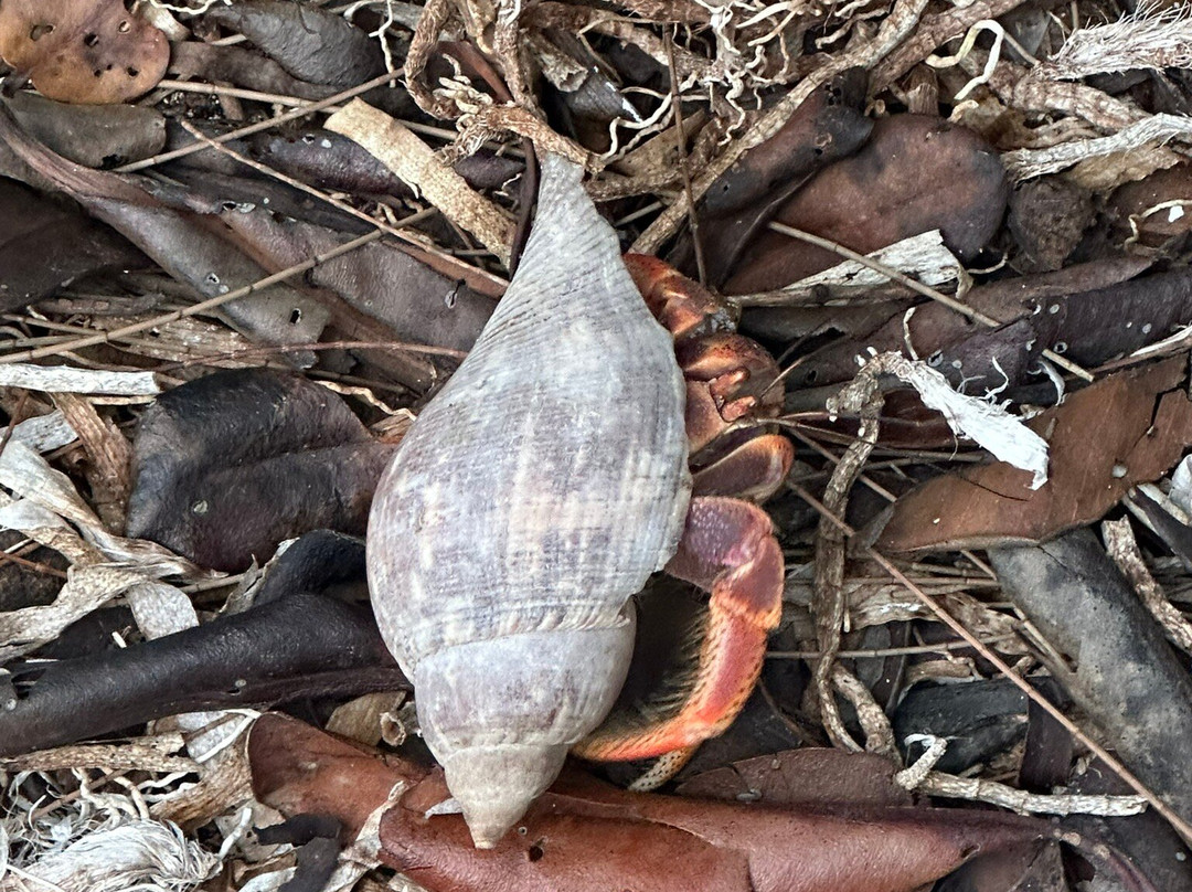 FUNKEY CHARTERS-基韦斯特必去景点