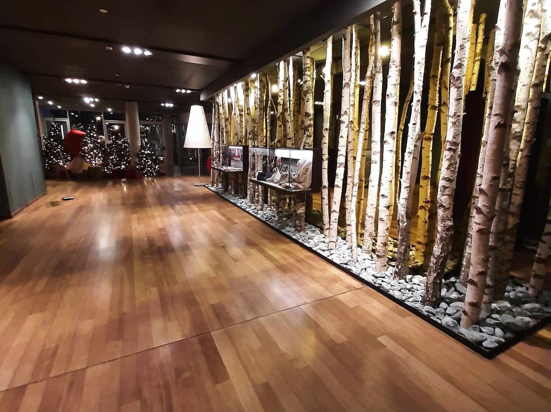 福鹏伯尔扎诺伯泽喜来登酒店主图