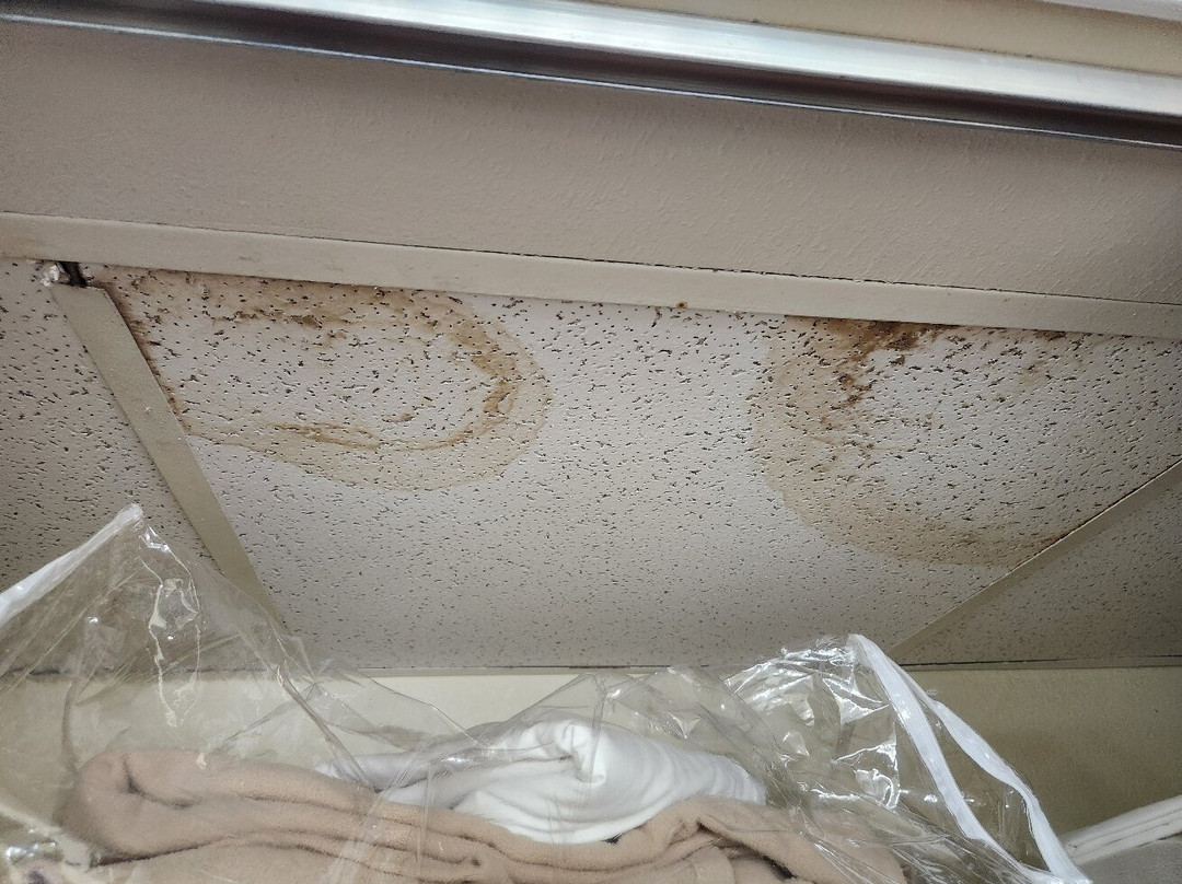 Residence Inn Kalamazoo East主图