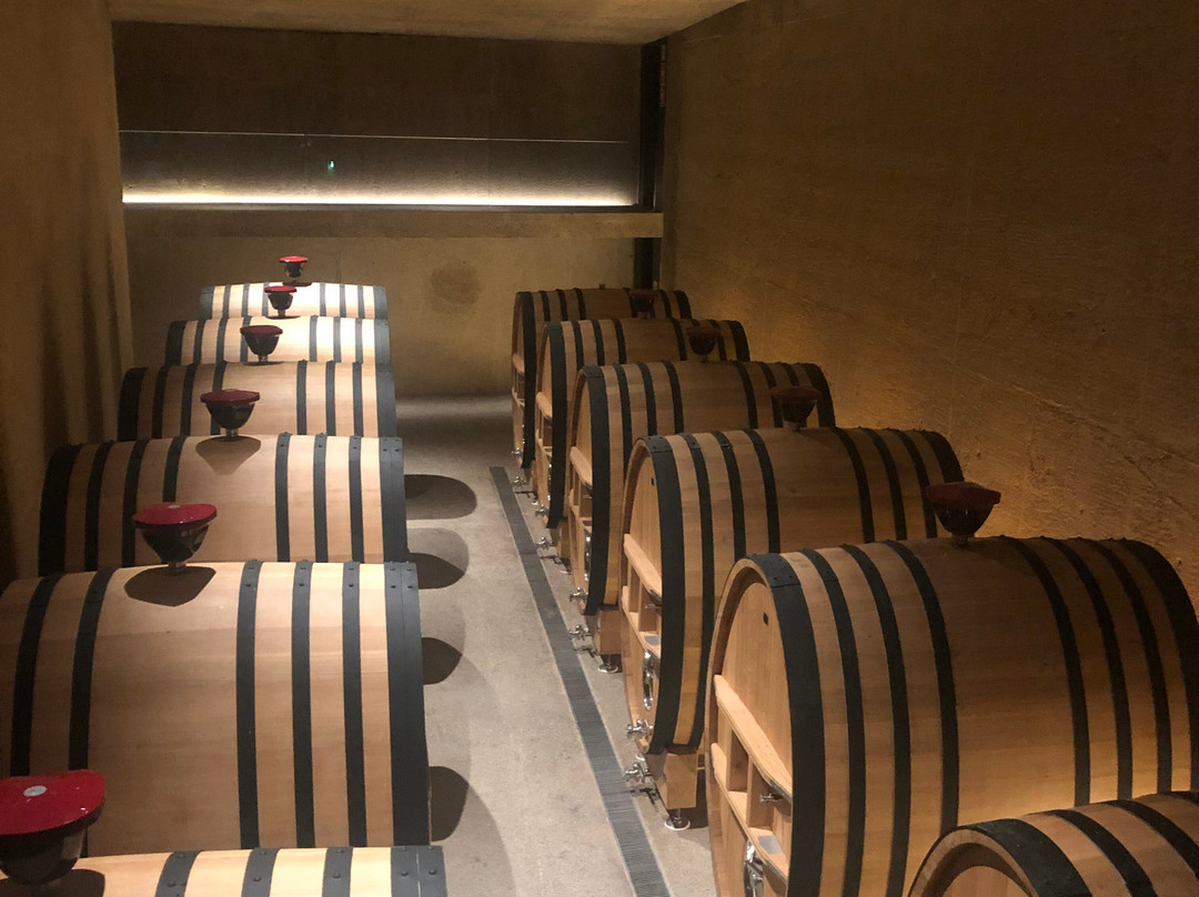 Celler Perelada景点图片