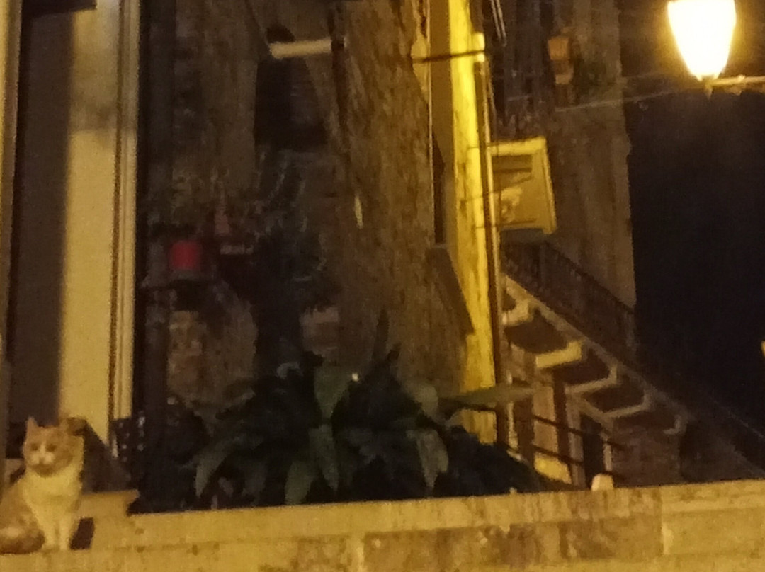 Borgo Medievale di Penne景点图片