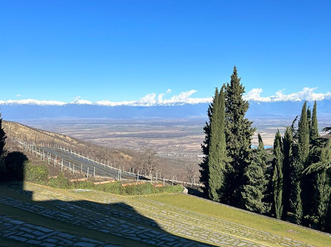 Wonder Travel Georgia-第比利斯必去景点