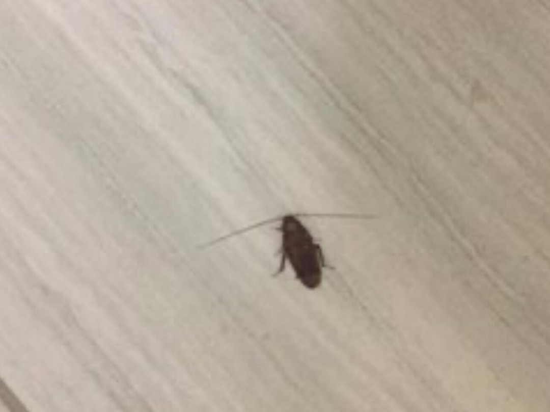 Hyatt Place Albuquerque Airport主图