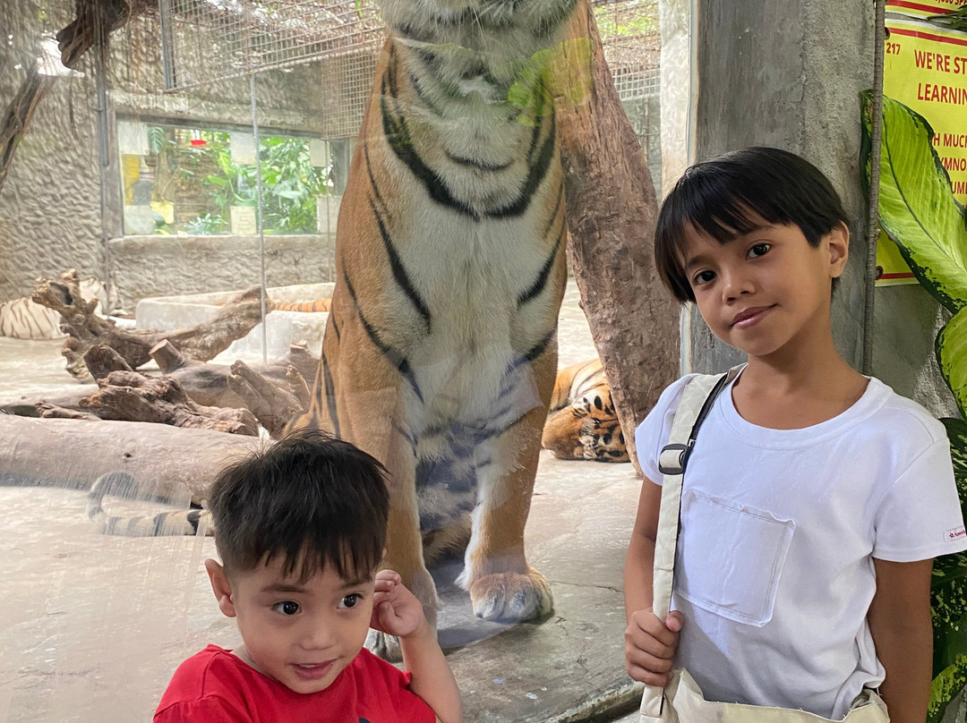 Malabon Zoo-马拉闵必去景点