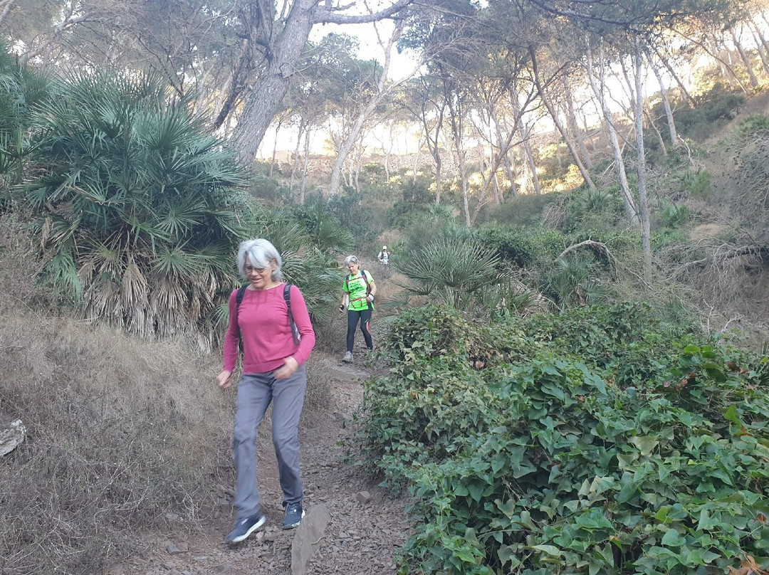 Barranco De La Culebra-Portman必去景点